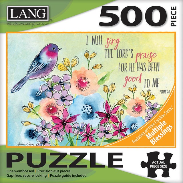 Swan Song Puzzle Gift Pack — John Plashal Photo